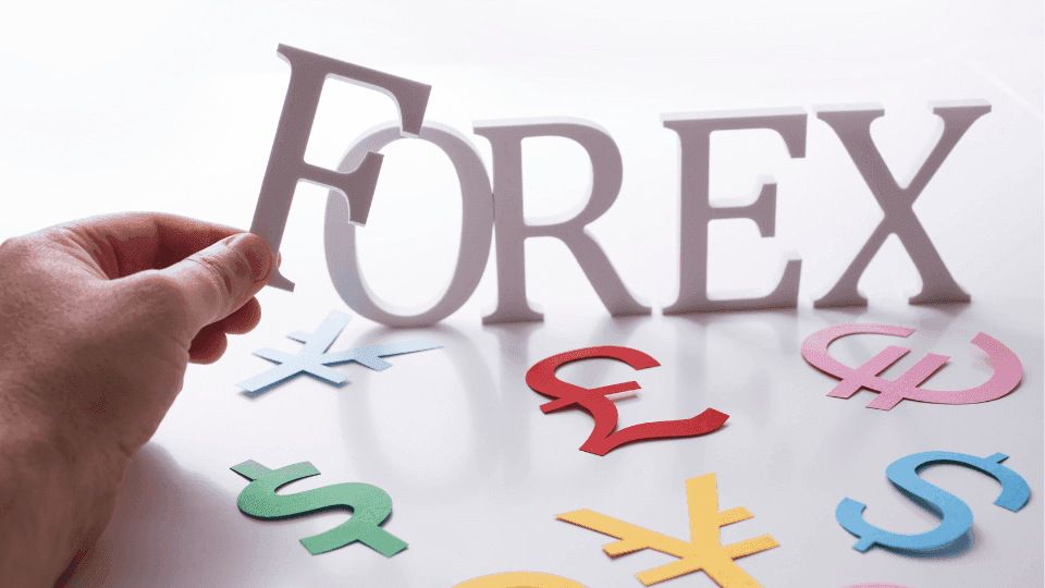 Charting the Forex Market A Guide to Forex Trading in India